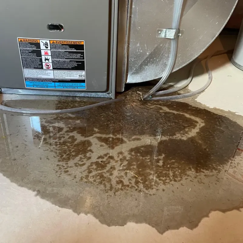 Appliance Leak Cleanup in Conestoga, PA